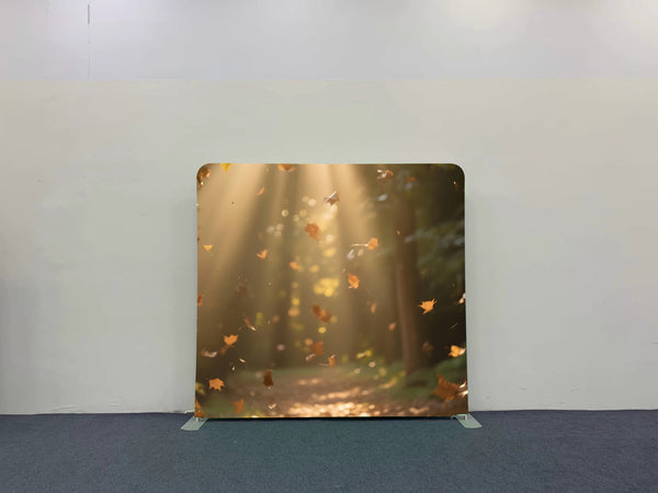 Sunlit Autumn Path – Pillow Cover Backdrop