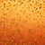 Golden Harvest Pillow Cover Backdrop - True Backdrops