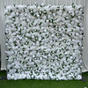 Garden Peony Flower Wall (#FRD013)