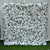 Garden Peony Flower Wall (#FRD013)