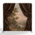 Chocolate Drape Pastoral Reveal Pillowcover Backdrop