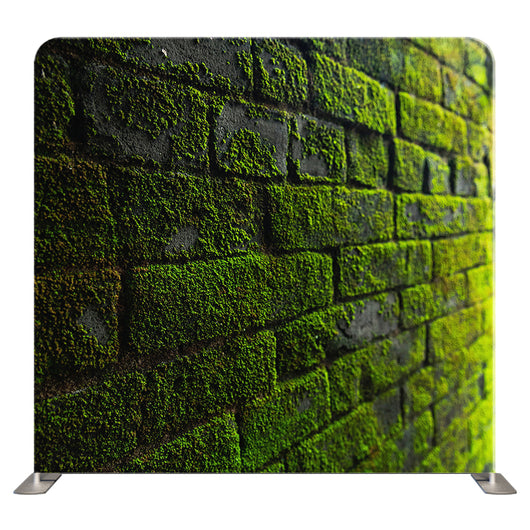 Bricks_Rustic 137 Pillowcover Backdrop