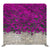 Bricks_Rustic 033 Pillowcover Backdrop