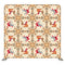 1 (178) Pillowcover Backdrop