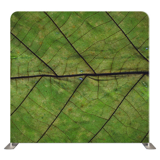 Floral 286 Pillowcover Backdrop