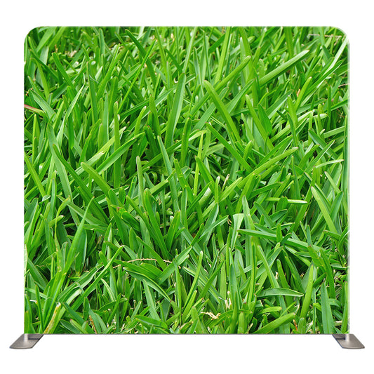 Floral 283 Pillowcover Backdrop