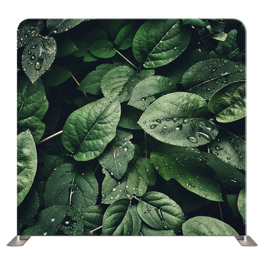 Floral 285 Pillowcover Backdrop
