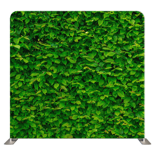 Floral 279 Pillowcover Backdrop