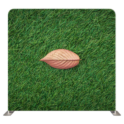 Floral 282 Pillowcover Backdrop