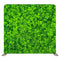 Floral 281 Pillowcover Backdrop