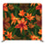 Floral 250 Pillowcover Backdrop