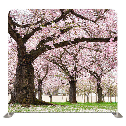 Floral 184 Pillowcover Backdrop