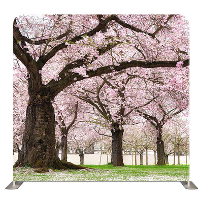Floral 184 Pillowcover Backdrop