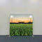 Home Field Sunset Pillowcover Backdrop