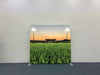 Home Field Sunset Pillowcover Backdrop