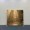 Sunlit Path Pillowcover Backdrop