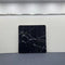 Polished Noir Marble Veins Pillowcover Backdrop