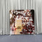 Warm Festive Christmas Hearth Pillowcover Backdrop