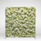 Cream Roses Sage Floral Pillowcover Backdrop