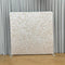 Champagne Luminescence Pillowcover Backdrop