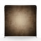 Antique Parchment Sanctuary Pillowcover Backdrop