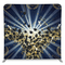 Academy Scholar Burst Pillowcover Backdrop