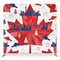 Northern Heritage Skyline Pillowcover Backdrop