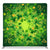 Emerald Clover Charm Pillowcover Backdrop