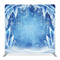Sapphire Frost Grotto Pillowcover Backdrop