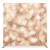 Champagne Stardust Pillowcover Backdrop