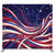 Midnight Anthem Pillowcover Backdrop