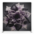 Obsidian Bloom Pillowcover Backdrop