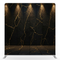 Gilded Obsidian Noir Pillowcover Backdrop