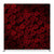 Crimson Romance Pillowcover Backdrop