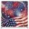Liberty Sky Sparkler Pillowcover Backdrop