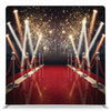 Gilded red carpet pillowcover backdrop with elegant design, perfect for photography and event decoration by True Backdrops.