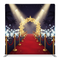 Hollywood Midnight Star Pillowcover Backdrop