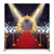 Hollywood Midnight Star Pillowcover Backdrop by True Backdrops featuring a starry night design on a soft fabric.
