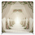 Primrose Promenade Pillowcover Backdrop