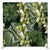 Emerald silk garden pillowcover backdrop by True Backdrops featuring lush green floral design and soft silk texture.