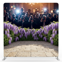 Premier Starlight Double-Sided Pillowcover Backdrop - Front