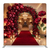 Crimson Grandeur Pillowcover Backdrop