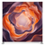Twilight Bloom Pillowcover Backdrop