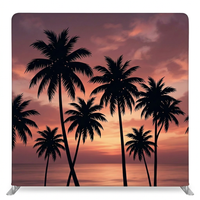 Island Twilight Double-Sided Pillowcover Backdrop - Back