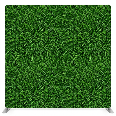 Highland Morning Pillowcover Backdrop