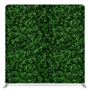 Evergreen Sanctuary Pillowcover Backdrop