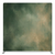 Antique Moss Pillowcover Backdrop