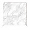 8x8 Black & White Marble Double Sided Pillow Cover Backdrop (Ships Next Day)