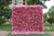 Pink Petal Flower Wall (#FRD012)
