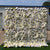 Ivory Peony Flower Wall (#FRD026)